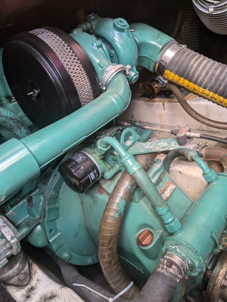 pxl 20240729 080255104 1.jpg